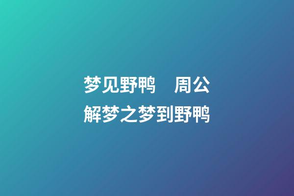 梦见野鸭　周公解梦之梦到野鸭